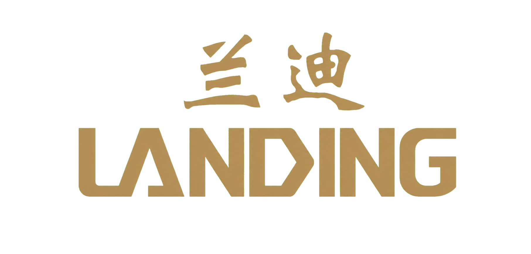 兰迪 LANDING